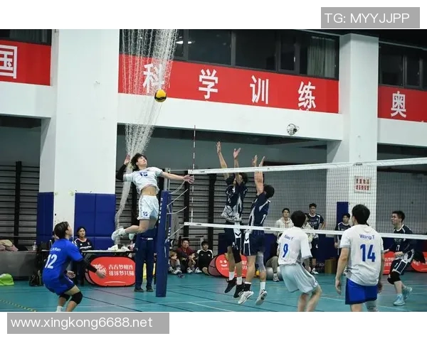 深度对话李静探寻排球人生背后的坚持与梦想