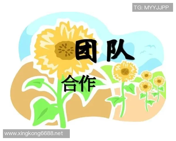 西安乒乓球队的团队协作精神与成功之路探讨