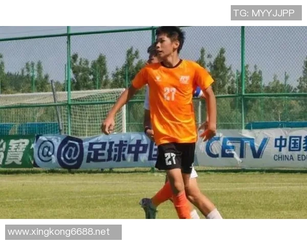 体育实时数据成都足球队配合默契创新高赛季表现引发球迷热议