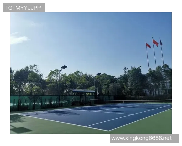 体育实时数据深入探讨广州网球队的力量表现及其对比赛成绩的影响分析