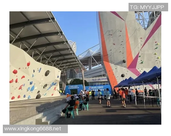 武汉攀岩队在极限运动会中的速度表现分析与点评实时数据