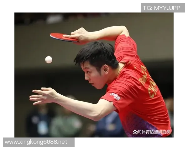 运动最新数据乒乓球新手必看入门指南提升个人能力的实用技巧与训练方法